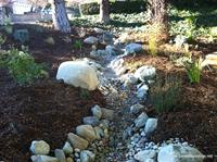 The Dry Stream runs down the natural slope of the front garden