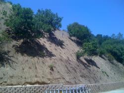 Hillside After Cleaning - Jute Mesh and Rosemary Planting