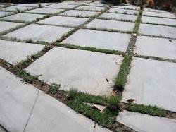 Driveway Turnaround Area - planted with low growing groundcovers and native grass